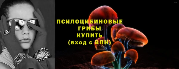 apvp Алексеевка