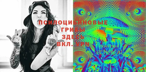 Альфа ПВП Алексин