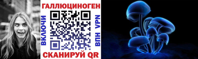 Галлюциногенные грибы MAGIC MUSHROOMS  Новоузенск 